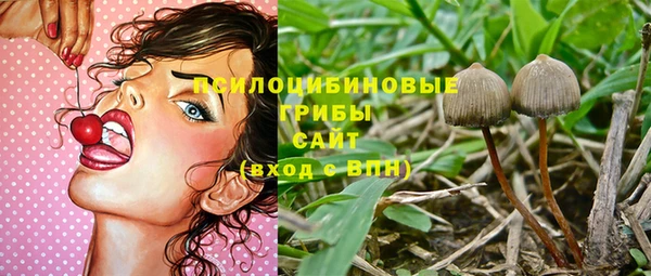 стафф Переславль-Залесский