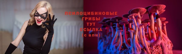 стафф Переславль-Залесский